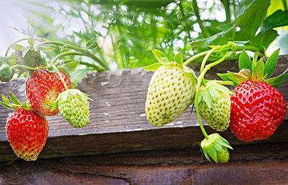 可爱冒险RPG《野境小幽灵》PC版9月22日发售 纸片马里奥风格